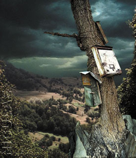 Artwork by Calin Niculae