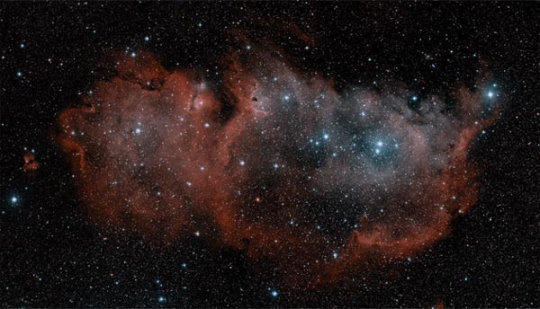 IC 1848: The Embryo Nebula