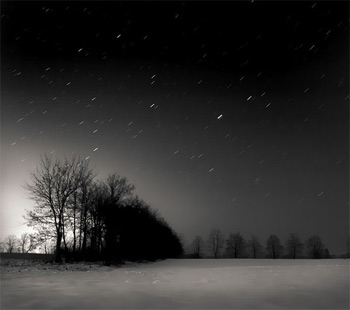 Winter stars